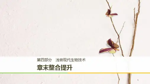 高中生物 第四部分 浅尝现代生物技术章末整合提升同步备课课件 浙科版选修1.pptx