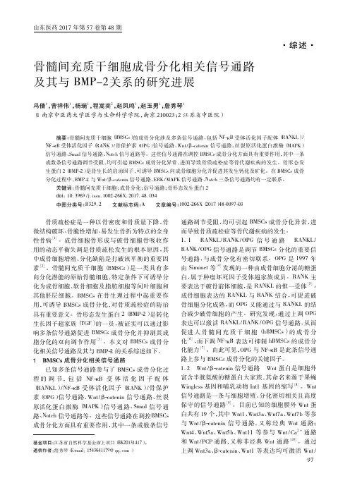 骨髓间充质干细胞成骨分化相关信号通路及其与BMP-2关系的研究进展
