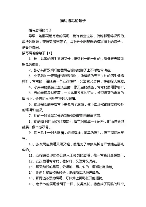 描写眉毛的句子