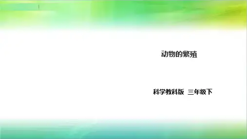 教科版小学科学新版三年级下册科学2.7《动物的繁殖》课件