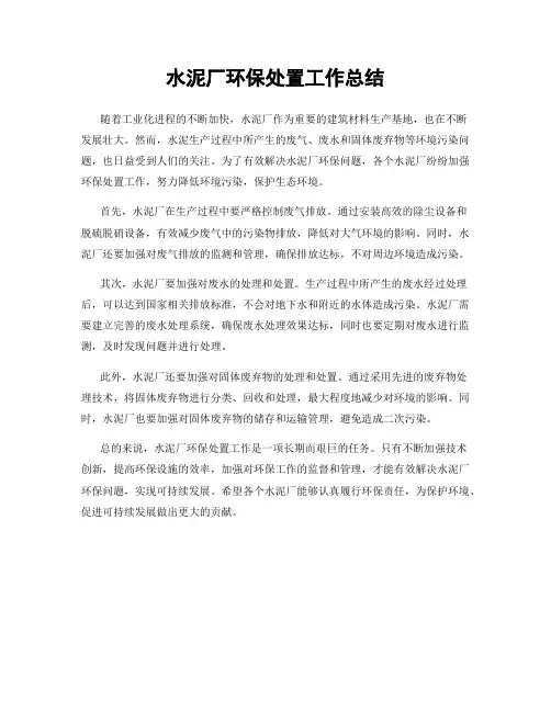 水泥厂环保处置工作总结