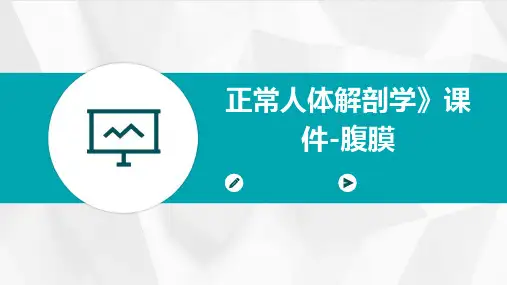 正常人体解剖学》课件-腹膜