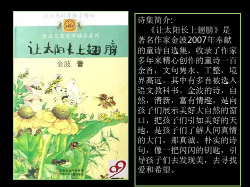让太阳长上翅膀ppt课件