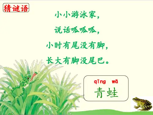 部编教材一年级下册语文《小青蛙》ppt课件