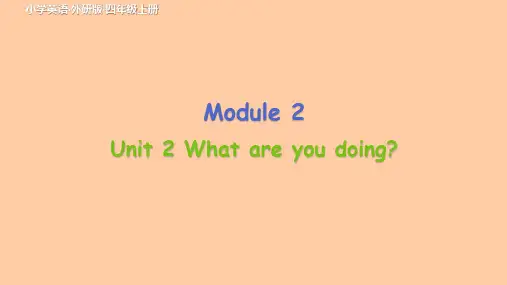外研版英语四年级上册Module 2 Unit 2 What are you doing课件