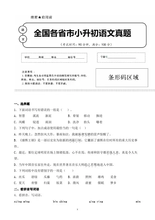【小升初】2020年河南省商丘市小升初语文毕业会考试题含答案(全网唯一)