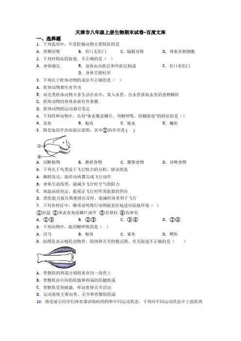天津市八年级上册生物期末试卷-百度文库