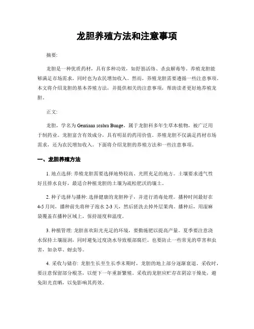 龙胆养殖方法和注意事项