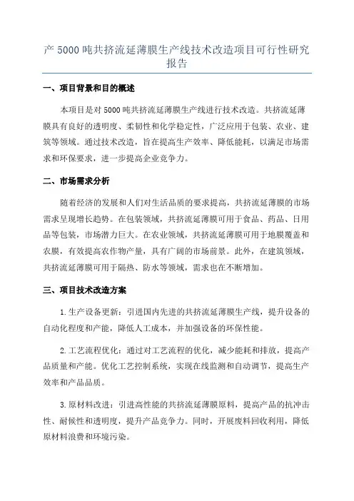 产5000吨共挤流延薄膜生产线技术改造项目可行性研究报告
