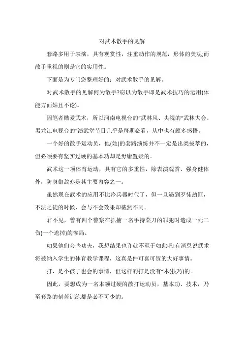 对武术散手的见解