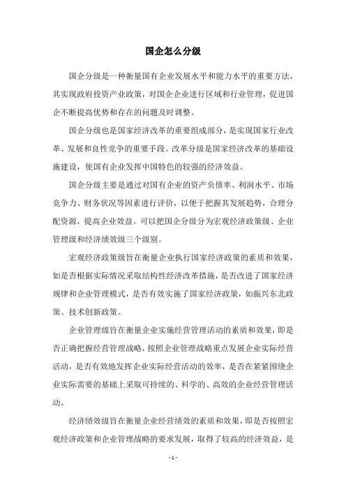 国企怎么分级