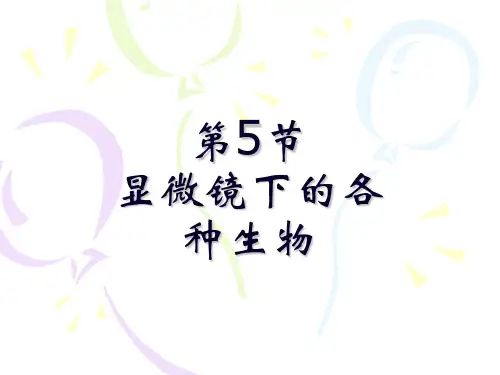 显微镜下的各种生物[上学期](1)PPT课件(初中科学)