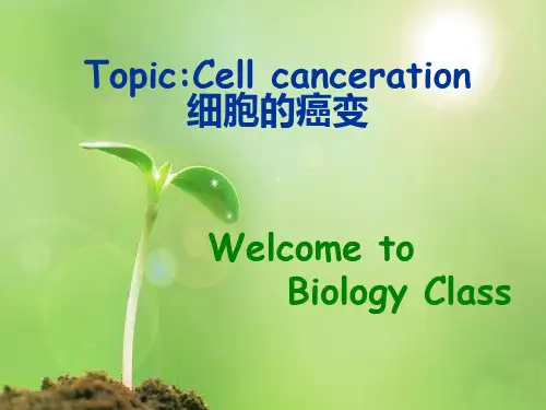 人教版生物必修一6.4《细胞的癌变》实用教学课件(共31张PPT)
