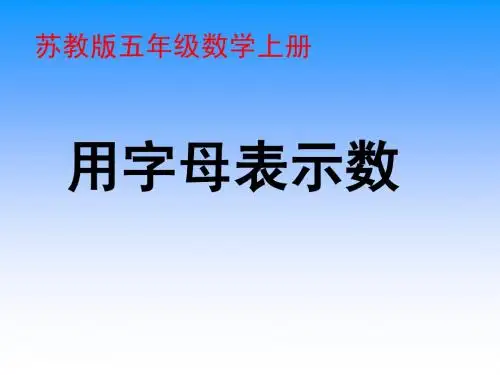 苏教版四年下《用字母表示数》ppt课件1