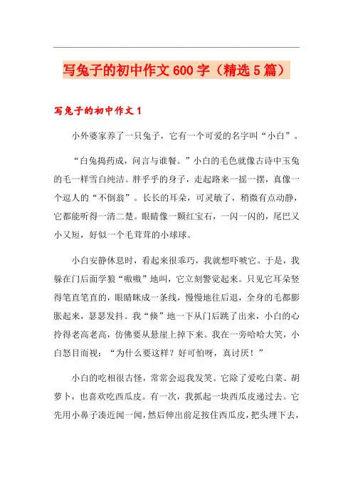 写兔子的初中作文600字(精选5篇)