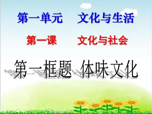 人教版高中政治必修三文化生活 1.1 体味文化 课件