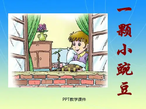 一颗小豌豆精品课件