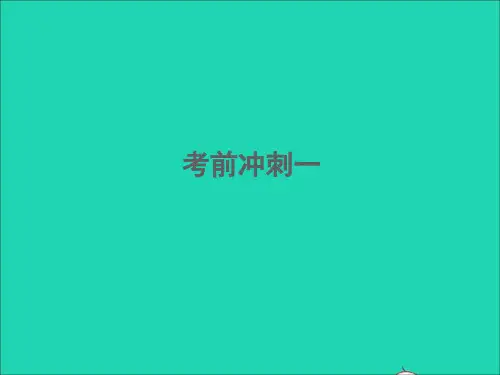 江西专版中考语文考前冲刺一课件