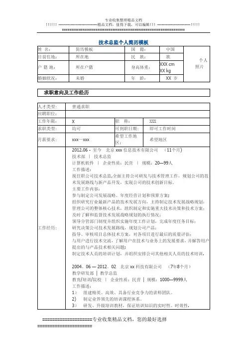 技术总监 个人简历模板