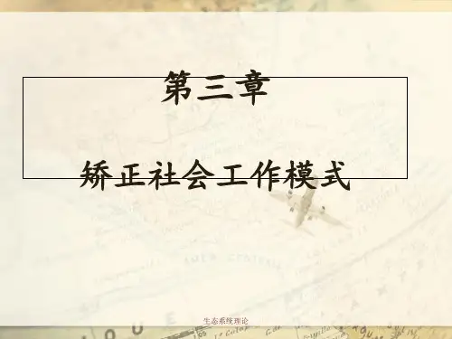 生态系统理论 ppt课件