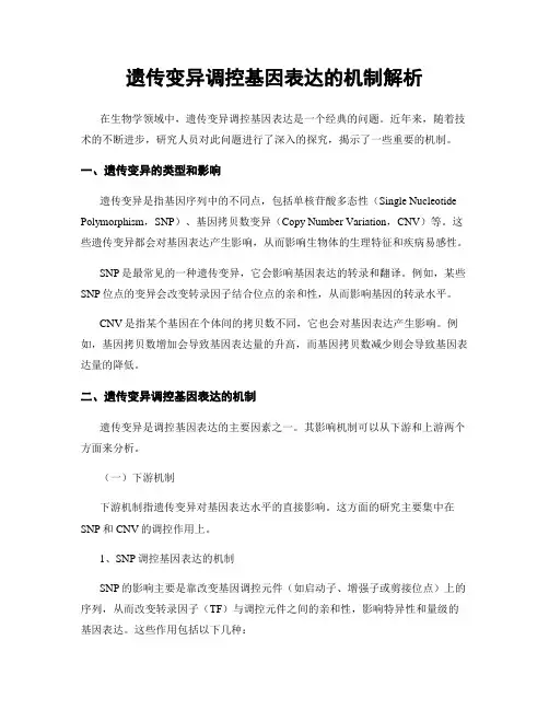 遗传变异调控基因表达的机制解析