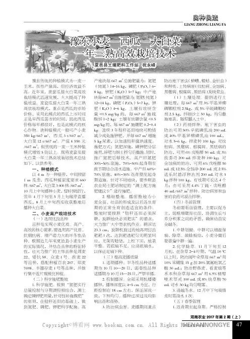 豫东小麦—西瓜—大白菜一年三熟高效栽培技术  