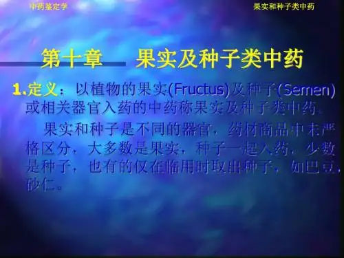 第10章果实及种子中药 123页PPT文档