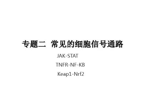 专题二 常见的细胞信号转导通路ppt课件