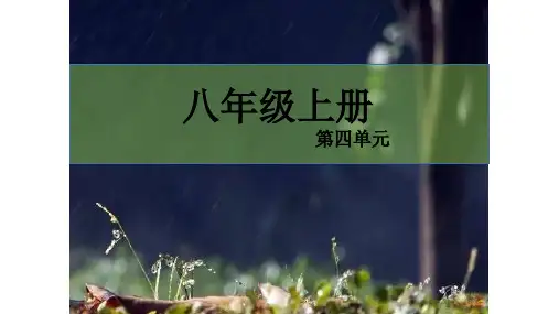 第四单元复习 (课件)—初中语文部编版八年级上册
