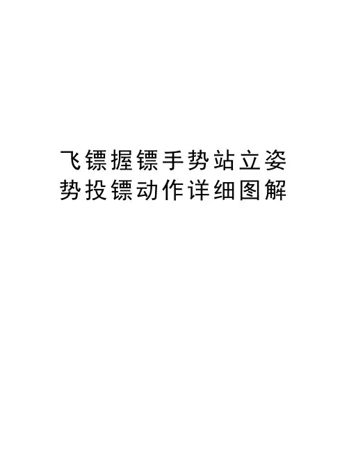 飞镖握镖手势站立姿势投镖动作详细图解备课讲稿