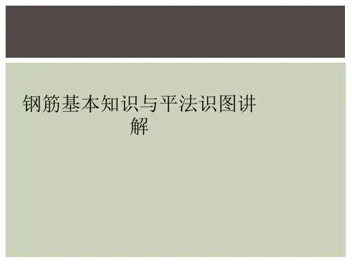 钢筋基本知识与平法识图讲解