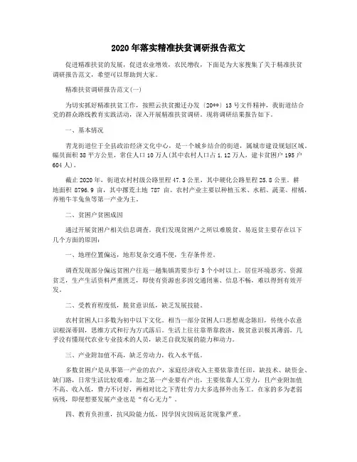 2020年落实精准扶贫调研报告范文