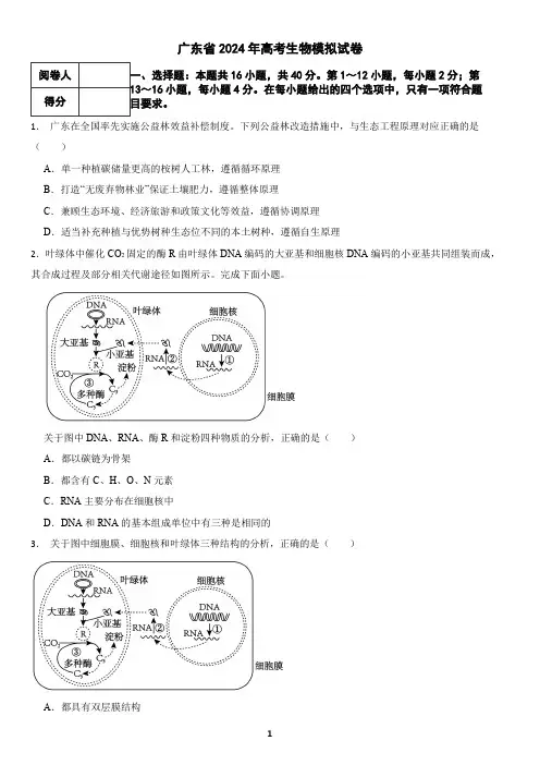 广东省2024年高考生物模拟试卷(含答案)