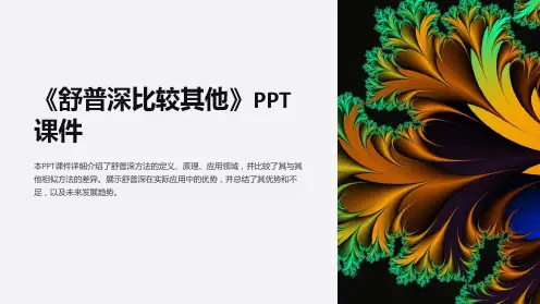 《舒普深比较其他》课件