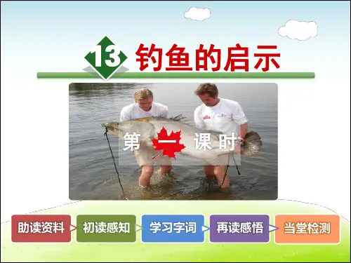 人教部编版五年级语文上册每课详解：第4单元第13课 钓鱼的启示