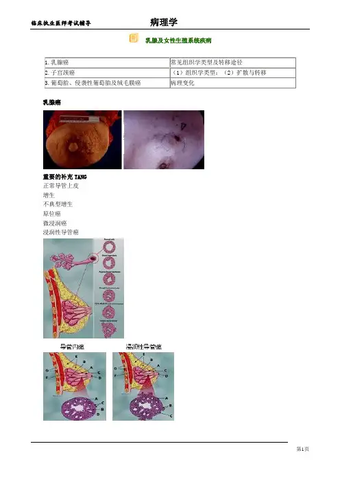 临床执业医师考试辅导材料：《病理学》乳腺及女性生殖系统疾病