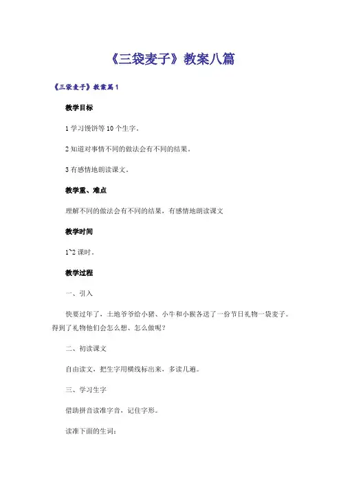 《三袋麦子》教案八篇
