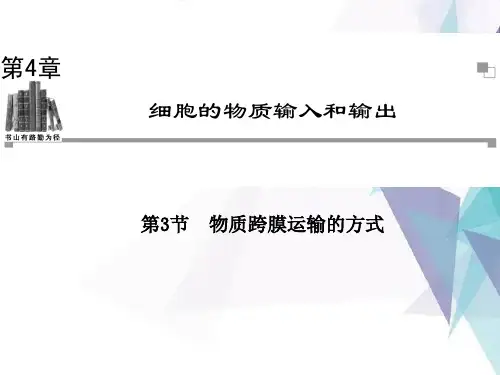 物质跨膜运输的方式PPT课件