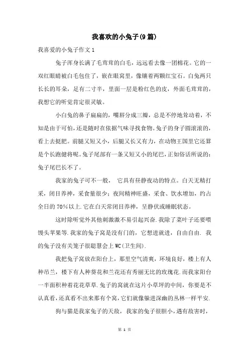 我喜欢的小兔子(9篇)