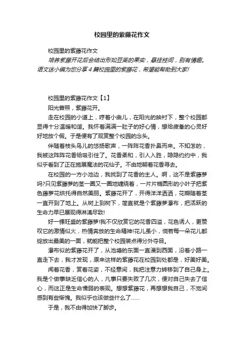校园里的紫藤花作文