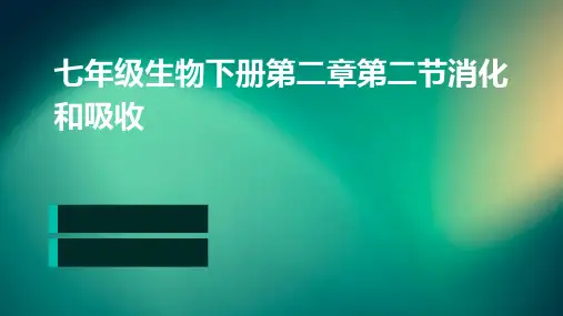 七年级生物下册第二章第二节消化和吸收