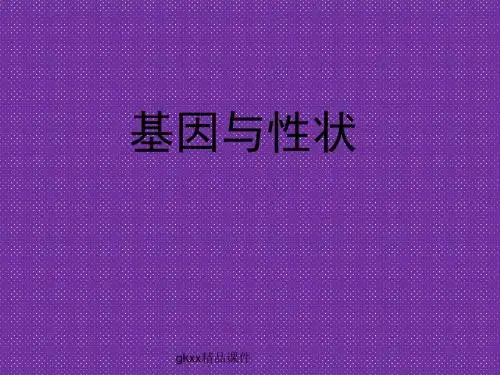 《基因与性状》课件(23张PPT)(中图版必修2)