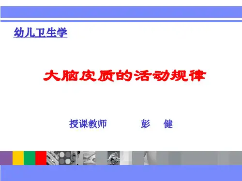 大脑皮层的活动规律