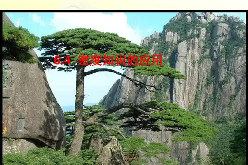最新苏科版八年级物理下册 《6.3物质的密度》PPT课件 (6)