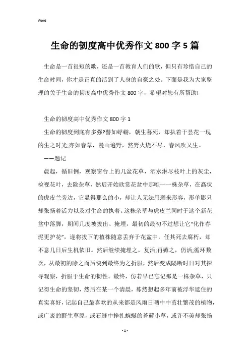 生命的韧度高中优秀作文800字5篇