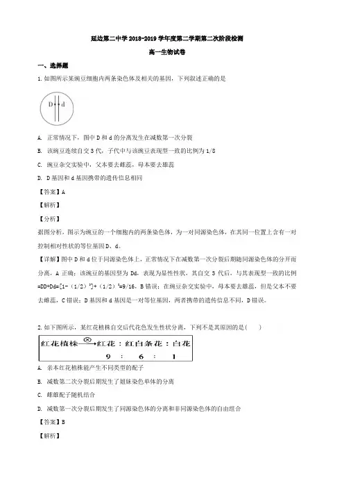 吉林省延边二中2018-2019学年高一下学期第二次月考生物试题 含解析