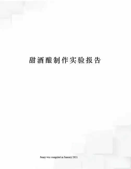 甜酒酿制作实验报告
