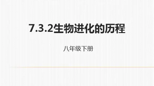 人教生物八年级下册7.3.2生物进化的历程课件 (共23张PPT)