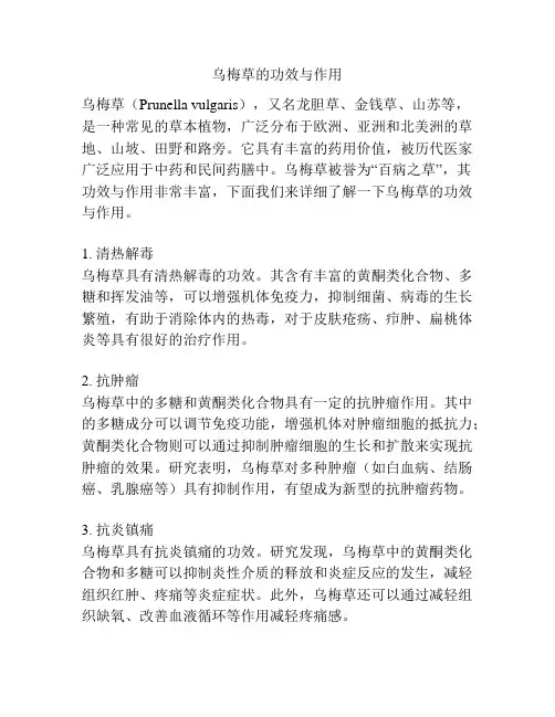 乌梅草的功效与作用