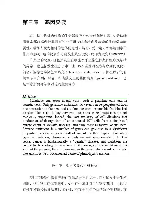 基因突变——精选推荐